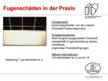Fugenschäden in der Praxis: Schimmelpilzbefall, von der unteren Dichtstoff-Flanke beginnend. 