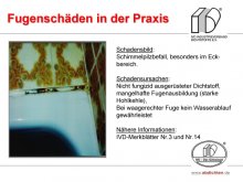 Fugenschäden in der Praxis: Schimmelpilzbefall, besonders im Eckbereich 